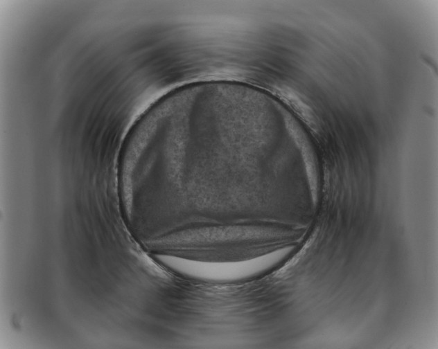 X0000097461184200803141845