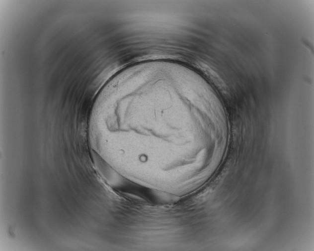 X0000097461185200803141845