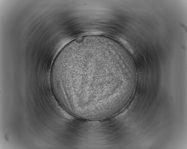 X0000097461186200803141845