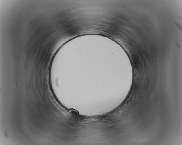 X0000097461187200803141845