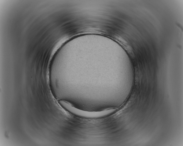 X0000097461188200803141845