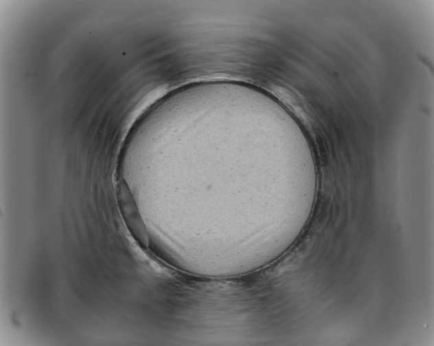 X0000097461189200803141845