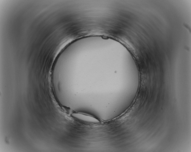 X0000097461190200803141844