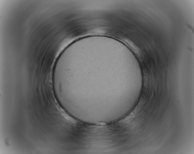 X0000097461192200803141844