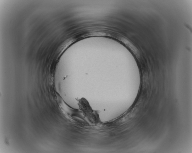 X0000097461193200803141844