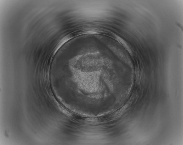 X0000097461194200803141844