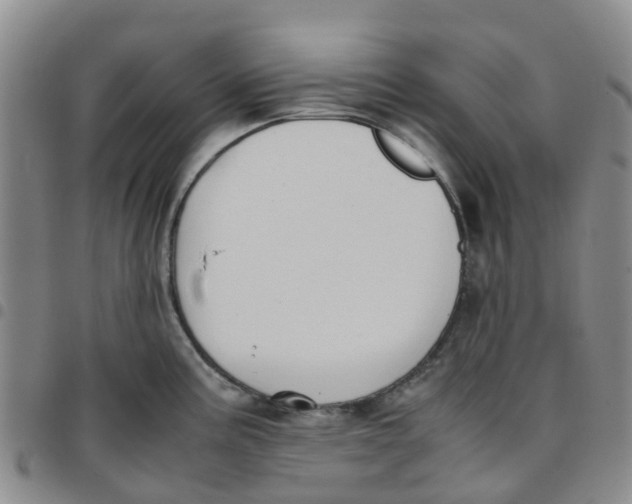 X0000097461195200803141844