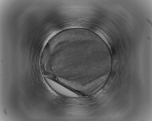 X0000097461197200803141844