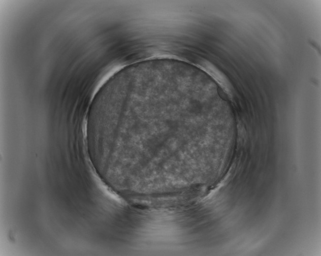 X0000097461198200803141844