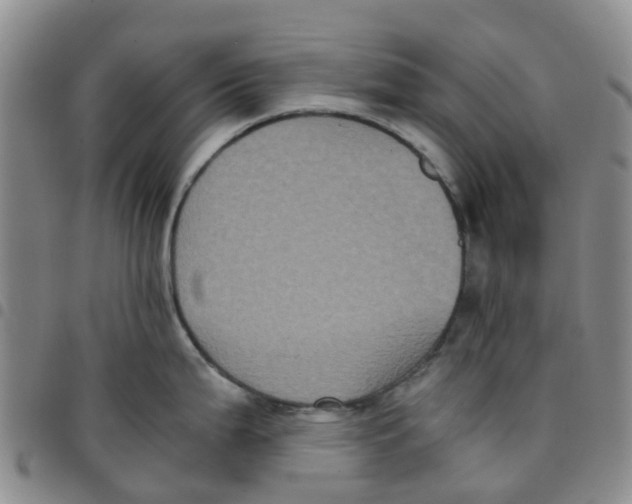 X0000097461199200803141844