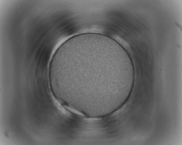 X0000097461200200803141844