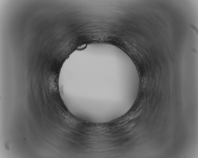 X0000097461202200803141844