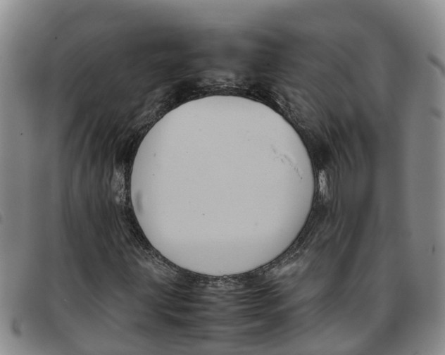 X0000097461203200803141844