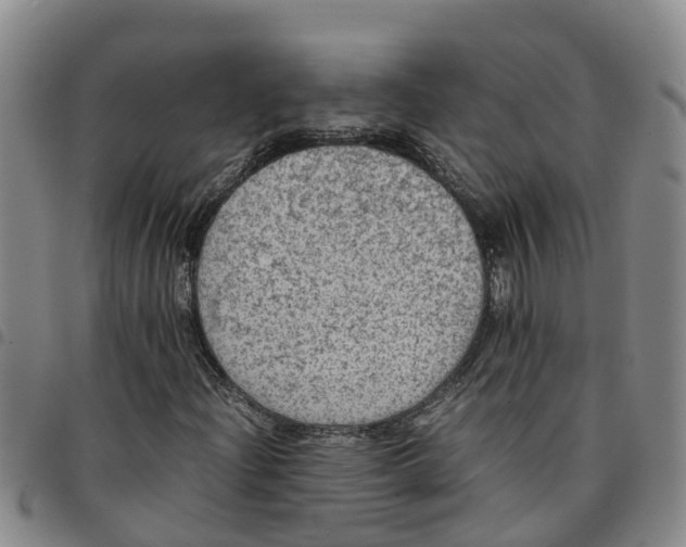 X0000097461204200803141844