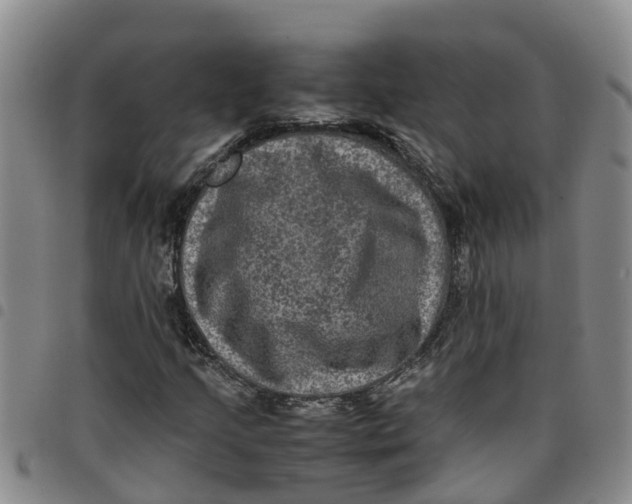 X0000097461205200803141844