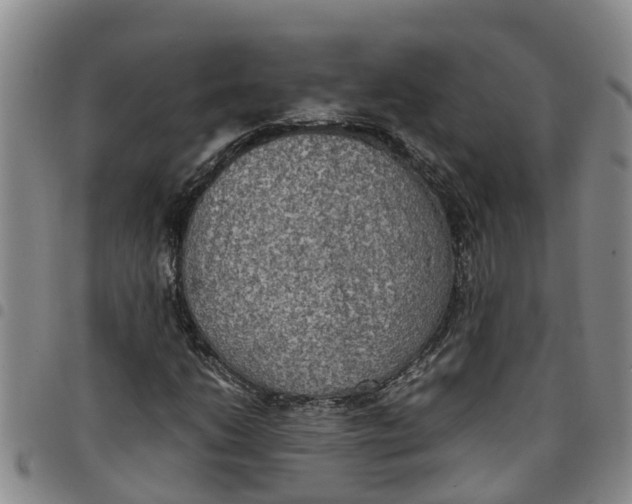 X0000097461206200803141844