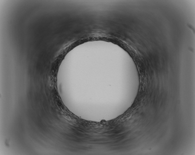 X0000097461207200803141844