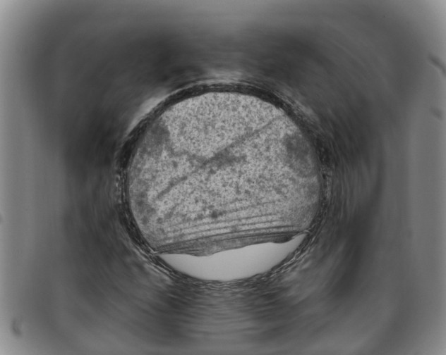 X0000097461208200803141844