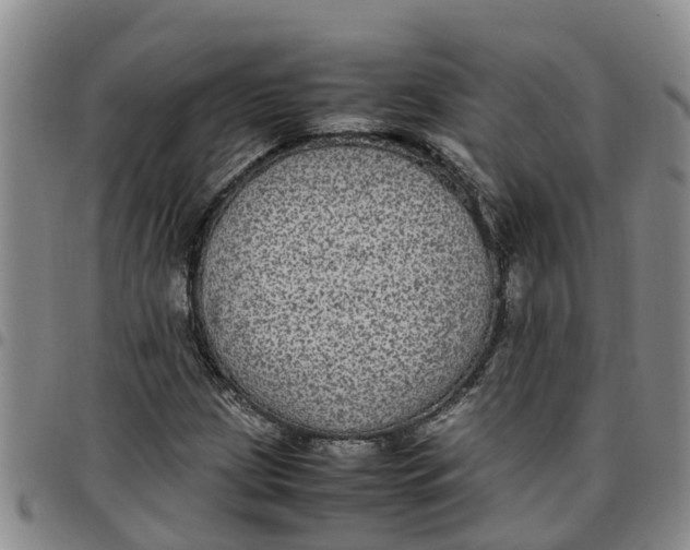 X0000097461209200803141844