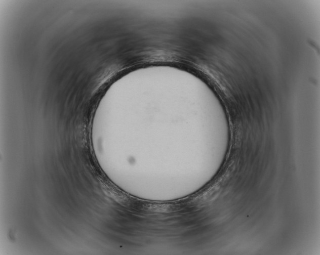 X0000097461211200803141844