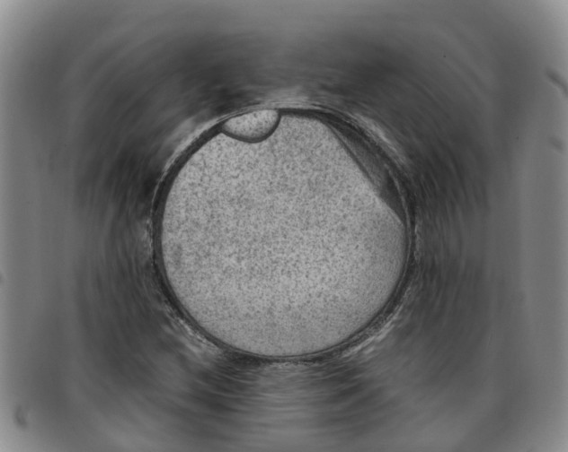 X0000097461212200803141844