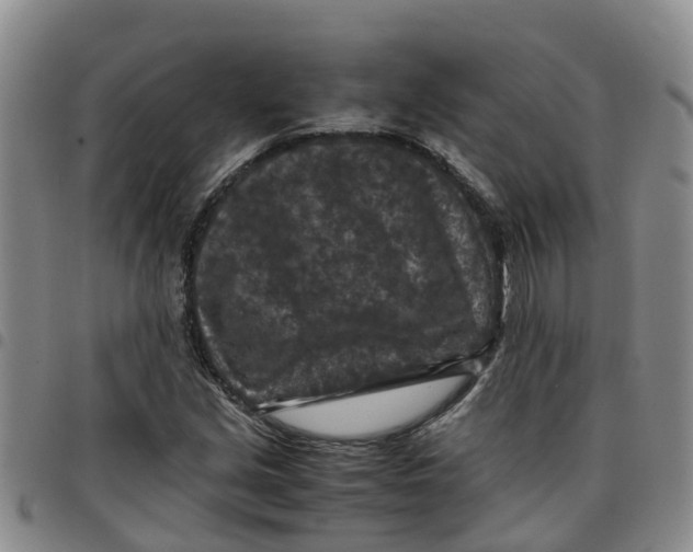 X0000097461213200803141844