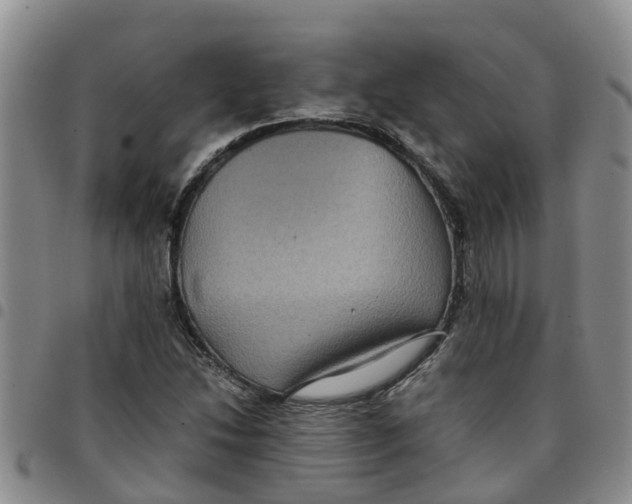 X0000097461214200803141844