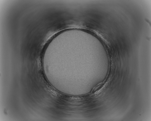 X0000097461215200803141844