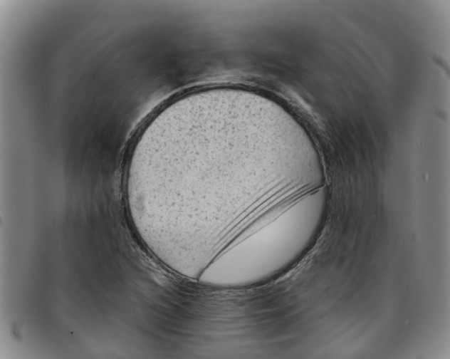 X0000097461216200803141844