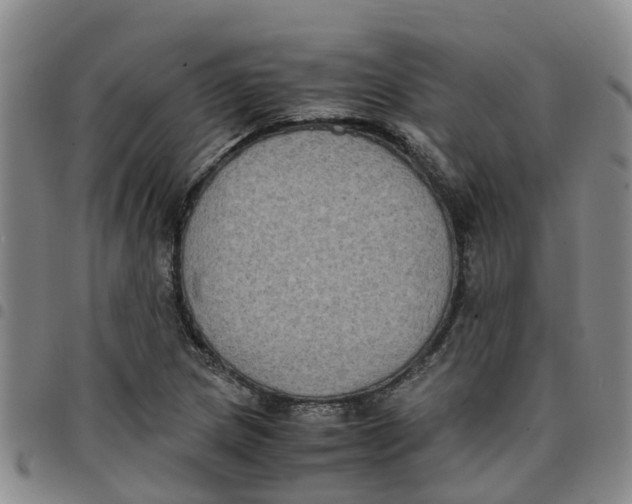 X0000097461217200803141844