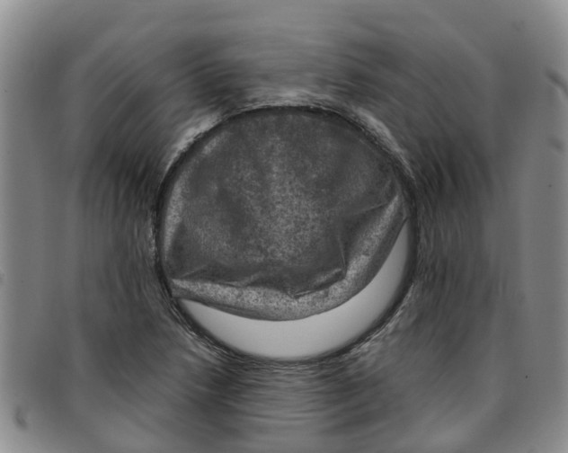 X0000097461218200803141844