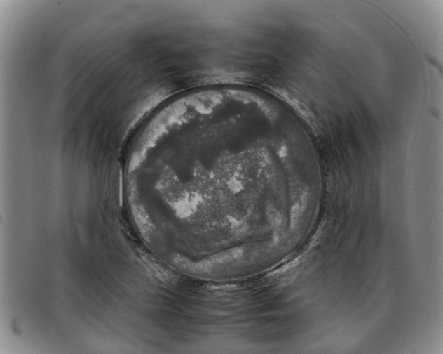 X0000097461219200803141844