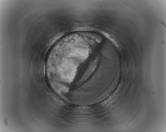 X0000097461221200803141844