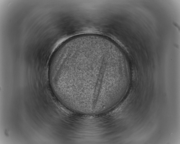 X0000097461222200803141844