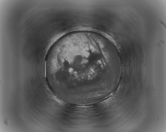 X0000097461223200803141844