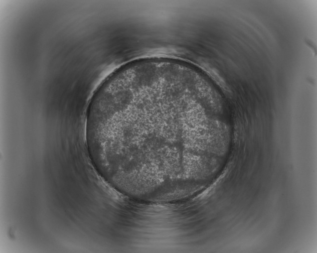 X0000097461224200803141844