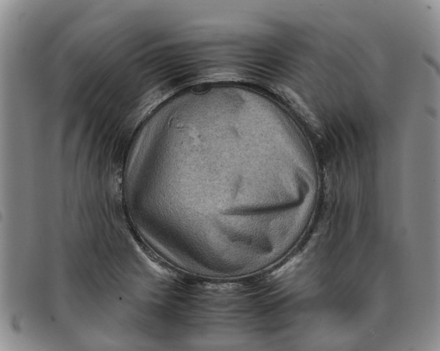 X0000097461225200803141844