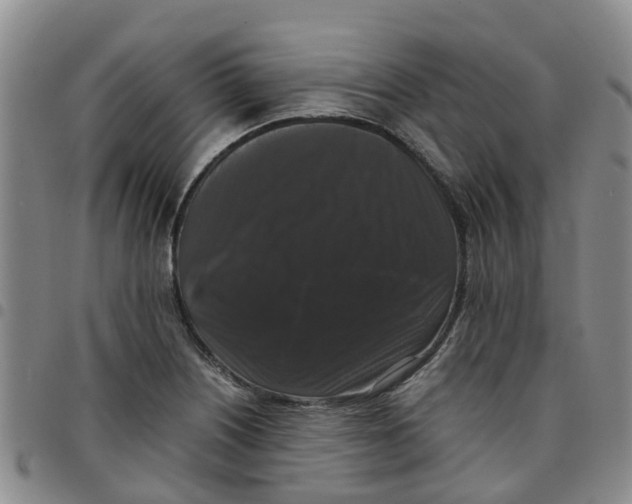 X0000097461226200803141844