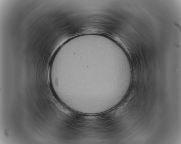 X0000097461227200803141844