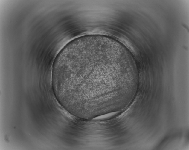 X0000097461228200803141844