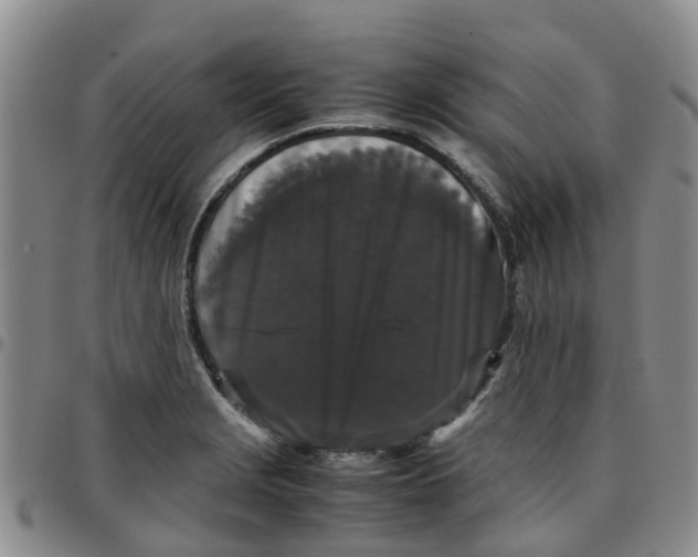 X0000097461229200803141844