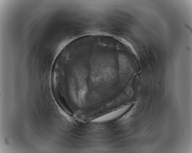 X0000097461231200803141844