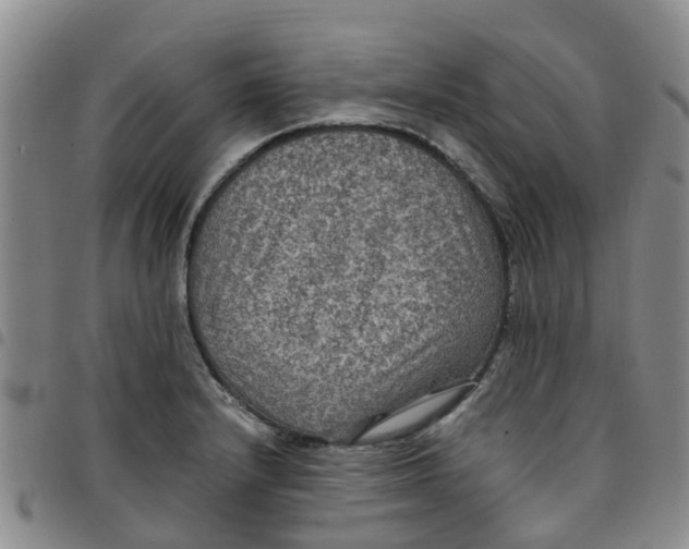 X0000097461232200803141844