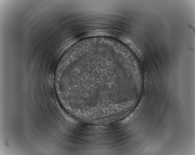 X0000097461233200803141844