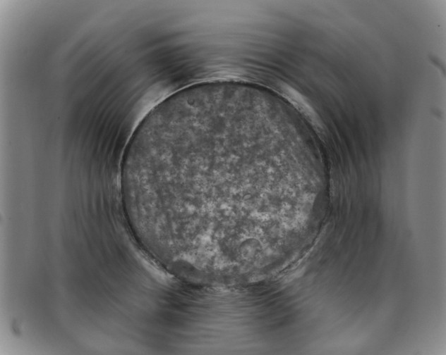 X0000097461234200803141844