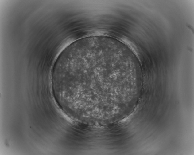 X0000097461235200803141844