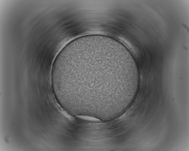 X0000097461236200803141844