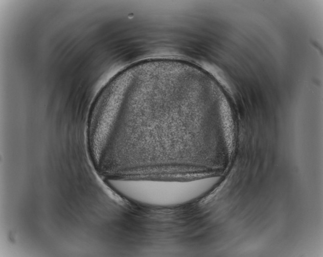 X0000097461237200803141844