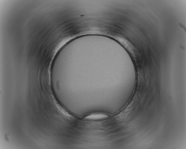 X0000097461238200803141844