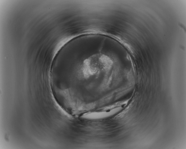 X0000097461239200803141844